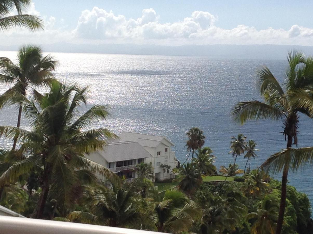 Vista Mare Samana The Best View!! Apartment Exterior photo